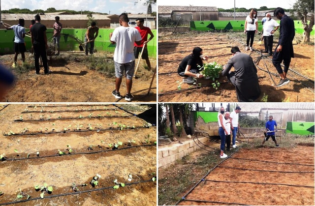 Progetto "Grow Your Future": gli ospiti delle Coop. "Il Geranio" e "Namastè" piantano orto